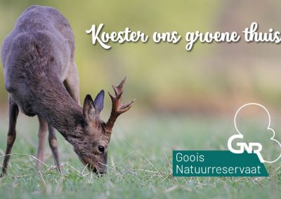 Goois Natuurreservaat (communicatiespecialist) 2019